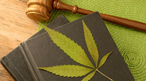 カナダの大麻合法化に関する実情